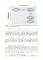 사회적 기업 사례연구 - 한국과 외국의 사례 중심으로  4페이지