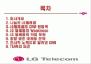 LG텔레콤-고객관계관리(CRM) 2페이지