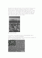 Dry-sensitized solar cell(연료감응형 태양전지) 2페이지