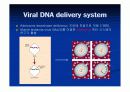 전달시스템(Delivery system)-viral system- 9페이지