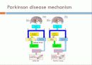 PARKINSON DISEASE (파킨슨병) 4페이지