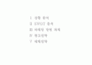 맥주 소비 전략 마케팅 2페이지