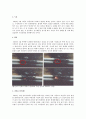 화재 피해 원인과 분석 2페이지
