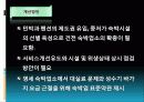 한국의관광산업문제점및해결방안 28페이지