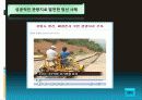 한국의관광산업문제점및해결방안 33페이지