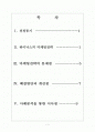 하이닉스 마케팅전략의 문제점과 해결방안 보고서 2페이지