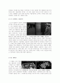 [올해최신A+자료]쉰들러리스트[쉰들러리스트 영화감상문][쉰들러리스트 감상문][쉰들러리스트 영화감상][홀로코스트 영화 쉰들러리스트 감상문][쉰들러리스트] 2페이지
