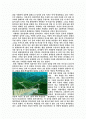 진시황과 유방 그리고 진의 문화 (영화 영웅(英雄)을 보고) 2페이지