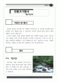 물고기탐사 자료집 3페이지