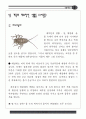 물고기탐사 자료집 7페이지
