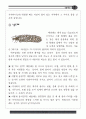 물고기탐사 자료집 9페이지