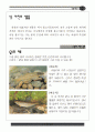 물고기탐사 자료집 15페이지