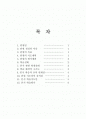 라켓경기 수업지도안 2페이지