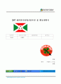 해외인터넷청년봉사단 1페이지