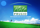대우건설 푸르지오(prugio)의 환경마케팅과 마케팅전략도출 1페이지