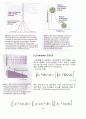 파동방정식의 수학적 해석 14페이지