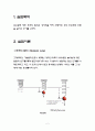용수철의 단조화 운동 예비레포트 2페이지