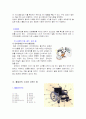 장애인에 대한 자원봉사자의 역할과 자세(장애인에 대한 예절, 에티켓, 휠체어, 자원봉사자역할과 자세) 보고서 24페이지