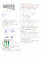 리피도 건강 1~7주차 타이핑입니다. 2페이지