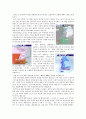 기상특보 레포트(영화로보는 자연재해) 2페이지