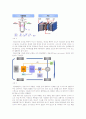 Polymer Electrolyte Fuel Cell의 성능 측정 실험 레포트(예비+결과) 11페이지