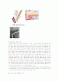  Urinary Tract Infection(UTI)- 요로감염증 24페이지
