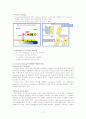 Physiological change in rat hind limb muscle By Western blotting 2페이지