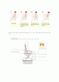 역학적으로 바른 자세에 대한 평가 2페이지