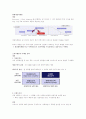 단국대 천성용 소비자행동 기말고사 레포트 족보 21페이지