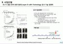 Shaperon_Korea  패혈증 항암면역세포 항체 의약품개발 사업계획서 17페이지