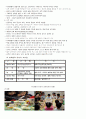 프뢰벨과듀이 2페이지