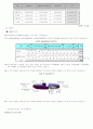 장애인문제 4페이지