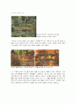 Claude Oscar Monet 12페이지