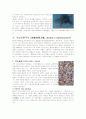 서양미술 (인상주의, 신인상주의, 후기인상주의,  입체파, 추상표현주의) 7페이지