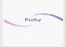 플레스레이(FlexRay)에 대해 1페이지