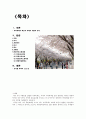 성공적인 지역축제 개요 및 긍정적/부정적 평가 2페이지