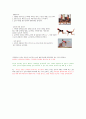 체중감량을 위한 30일 Plan 6페이지