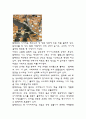 중세도시 독일 밤베르크 2페이지