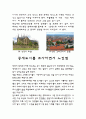 중세도시 독일 밤베르크 3페이지