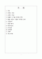 [국제마케팅]빈폴 마케팅 분석 2페이지