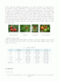 재배사육기술 - 고추, 토마토 재배  32페이지