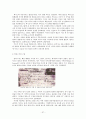 미국과 미국인 최종본 (족보) 57페이지
