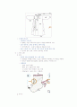 청주대학교 현대생활과패션(기말) 32페이지