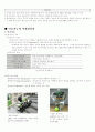 컴퓨터 기말 31페이지