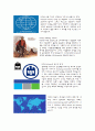 알리안츠 (Allianz) (역사,경영전략,가치,관리,사업분야,실적,생명) 4페이지