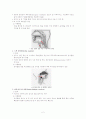 음식물 삼킴과 관련된 메뉴버 Maneuver 조사 레포트 2페이지