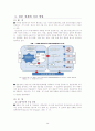 국제 금융위기 - 미국 금융위기의 원인과 파급효과 29페이지
