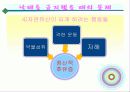 낙태, 그것이 알고싶다 32페이지