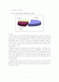 대구․경북지역 중소기업의 제품 포트폴리오(Portfolio) 매트릭스 분석 - 경창산업, 상신브레이크 13페이지