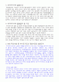 세이프가드(SAFE GUARD)에 관한 WTO 규범 4페이지